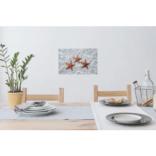 Zeesterren - Water - Helder Muursticker klein -eettafel