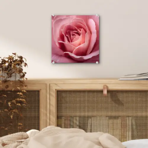 Roze - Roos - Romantisch plexiglas 5mm klein -sfeer4