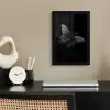 Vlinder - Zwart - Insect - Dieren fotolijst zwart zonder passe partout klein -sfeer1