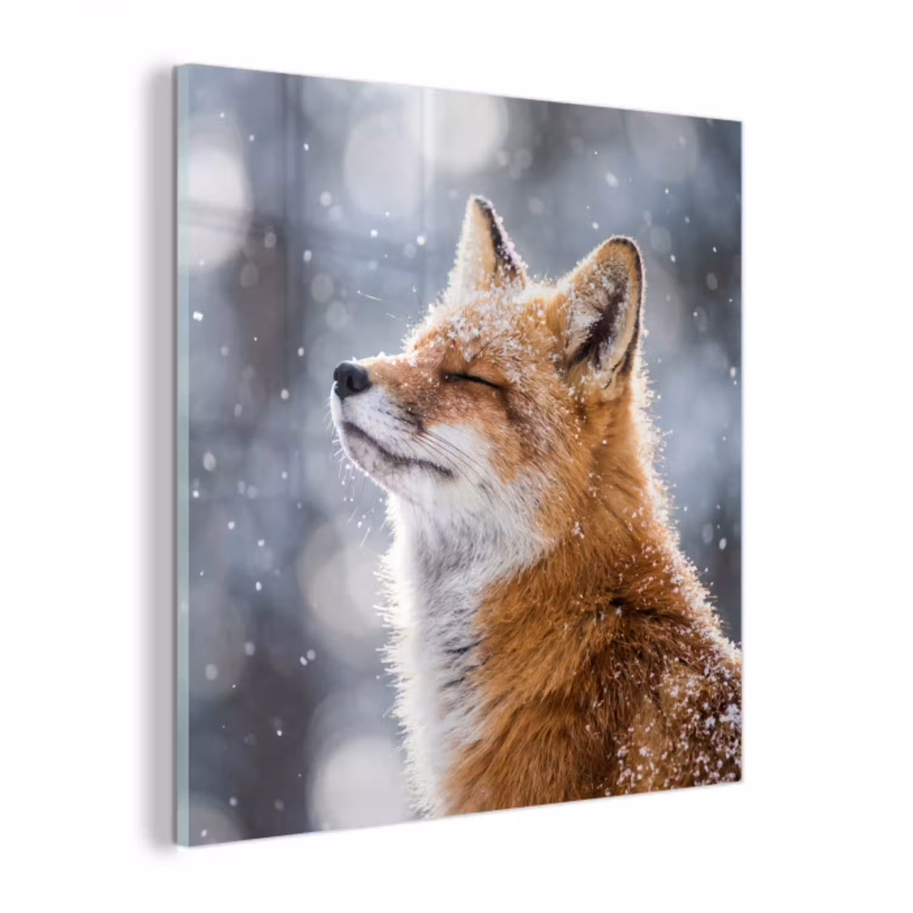 Vos - Sneeuwval - Portret - Winter - Sfeervol plexiglas 5mm klein -z3d