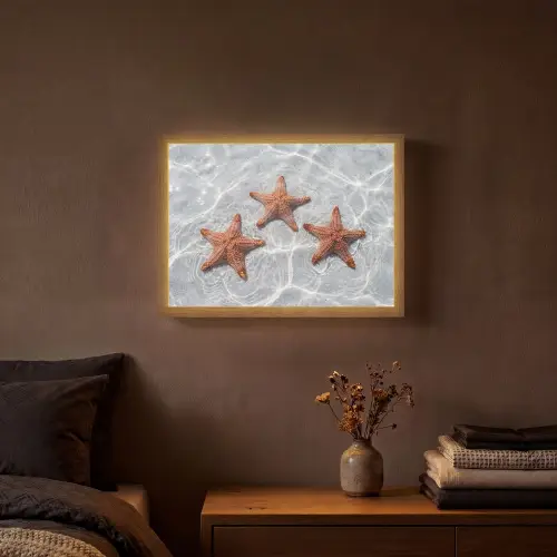 Zeesterren - Water - Helder Light Box met batterij (Wandlamp) middel -sfeer4