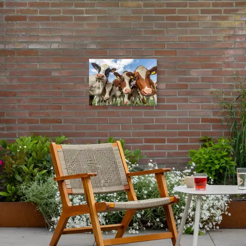 Bruin-witte koeien in de wei Tuinposter op houten frame 2 cm dik klein -sfeer3