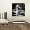 Paard - Hout - Schaalbord - Zwart plexiglas 5mm klein -sfeer1