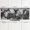 Zebra's - Zwart - Wit keuken achterwand 2 middel -3d