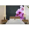 Orchidee - Bloemen - Roze - Flora fotobehang vinyl groot -bed