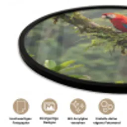 Ara - Jungle - Rood Fotolijst rond zonder passe partout klein -closeup_DE