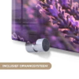 Lavendel - Paars - Zonlicht plexiglas 5mm klein -zzsysteem_NL