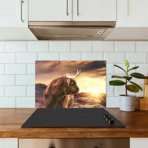 Schotse hooglander - Zon - Horizon - Koe - Dieren keuken achterwand spatscherm klein -sfeer2