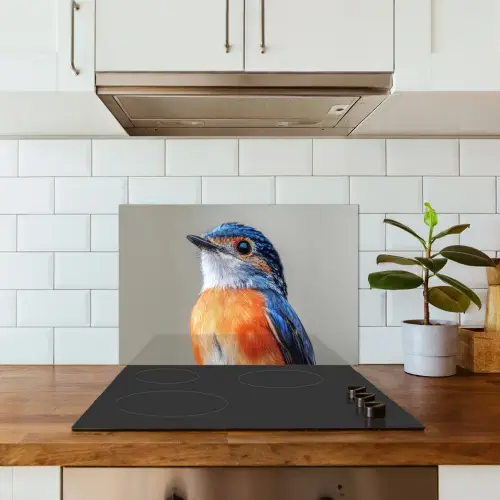 Kleurrijk - Vogeltje - Veren - Blauw keuken achterwand spatscherm klein -sfeer2