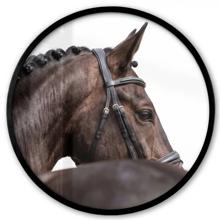 Portret - Paard - Elegant Fotolijst rond zonder passe partout klein -3d