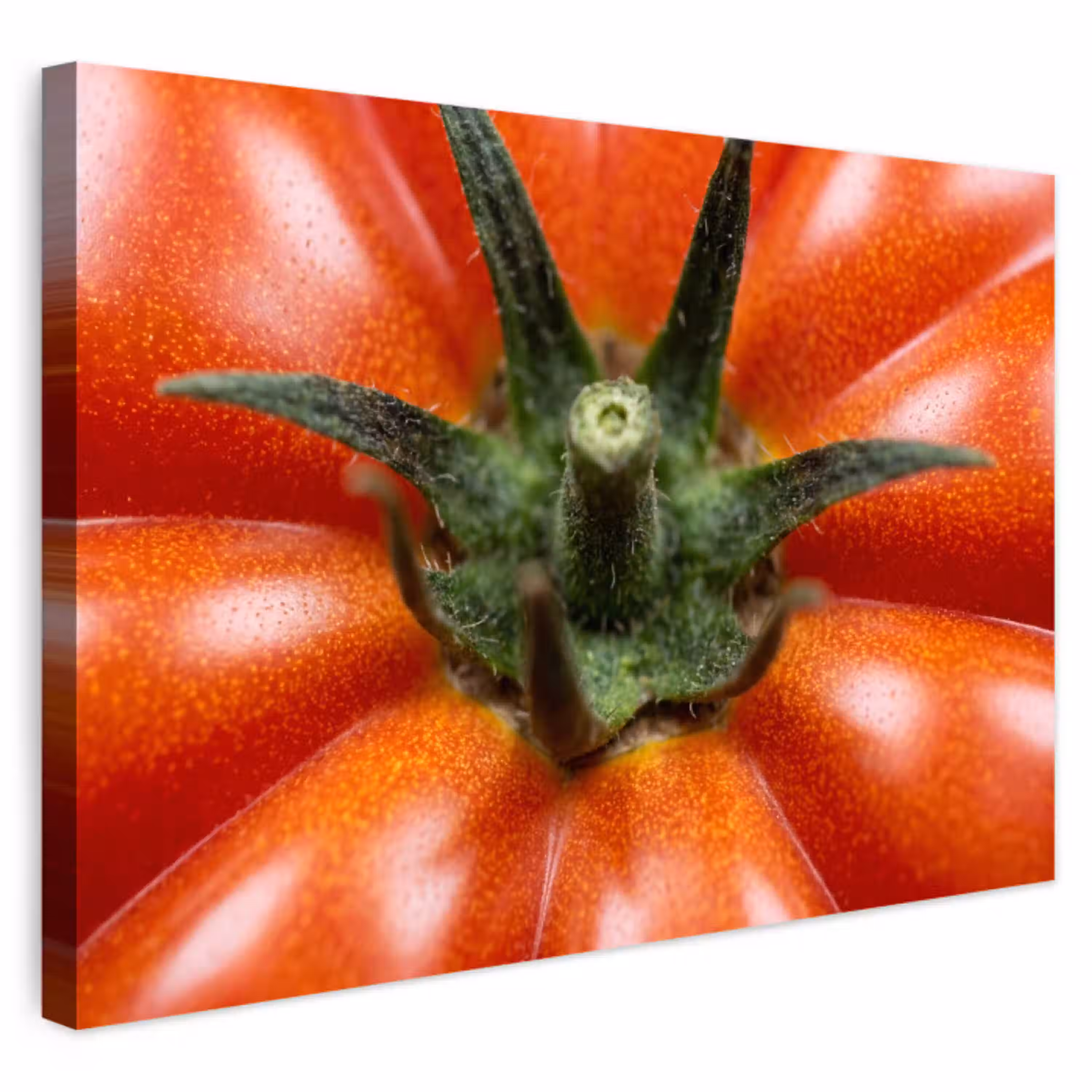 Eten - Tomaat - Rood Tuinposter op houten frame 2 cm dik klein -3d
