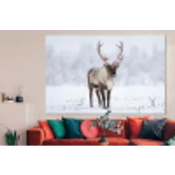 Rendier - Gewei - Toendra - Sneeuw - Wild forex 5mm xxl -woonkamer