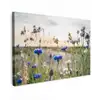 Bloemen - Zomer - Korenbloem - Blauw - Zon - Wolken Tuinposter op houten frame 2 cm dik klein -3d