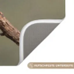 Papagaai - Tak - Natuur - Kleurrijk Badmat klein -USP_AntislipDE