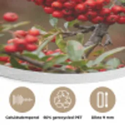 Goudvink - Bessen - Herfst - Natuur - Kleurrijk Akoestische PET Vilt - Rond klein -closeup_NL