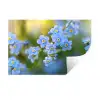 Bloemetjes - Blauw - Vergeet mij nietjes Muursticker klein -3d