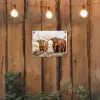 Schotse hooglander - Koe - Dieren - Natuur - Heide tuinposter los doek klein -sfeer1