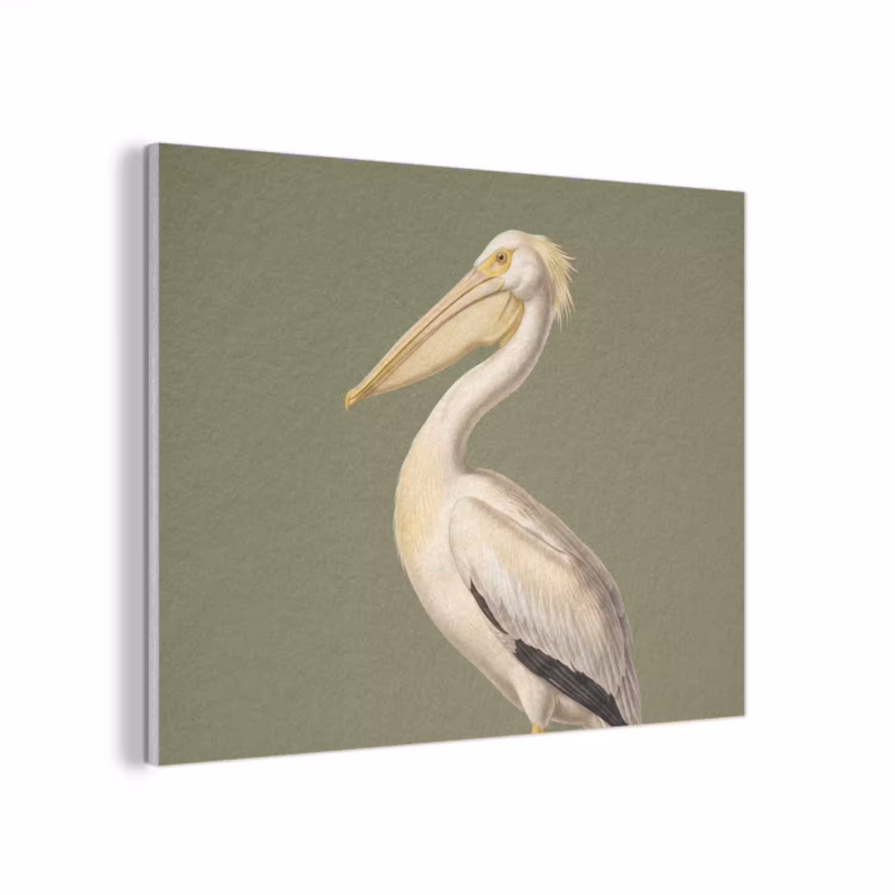 Pelikaan - Wit - Vogel - Klassiek - Natuur PET vilt klein -3d