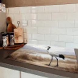 Kraanvogel - Natuur - Realistisch Inductie beschermer vinyl 3mm klein -sfeer3