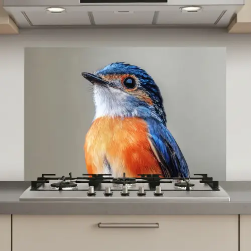 Kleurrijk - Vogeltje - Veren - Blauw keuken achterwand spatscherm klein -3d_website
