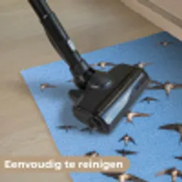 Zwaluwen - Vliegen - Blauw Deurmat klein -reinigen_NL