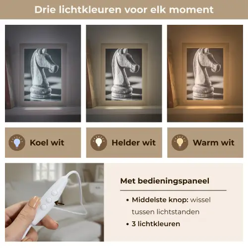 Paard - Hout - Schaalbord - Zwart Light Box met kabel (Tafellamp) klein -USP_lichtkleurNL