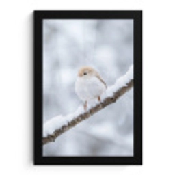 Vogeltje - Sneeuw - Tak - Winter - Zacht fotolijst zwart zonder passe partout klein -3d