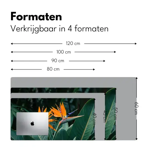 Paradijsvogel - Bloem - Exotisch Muismat XXL klein -sfeer5