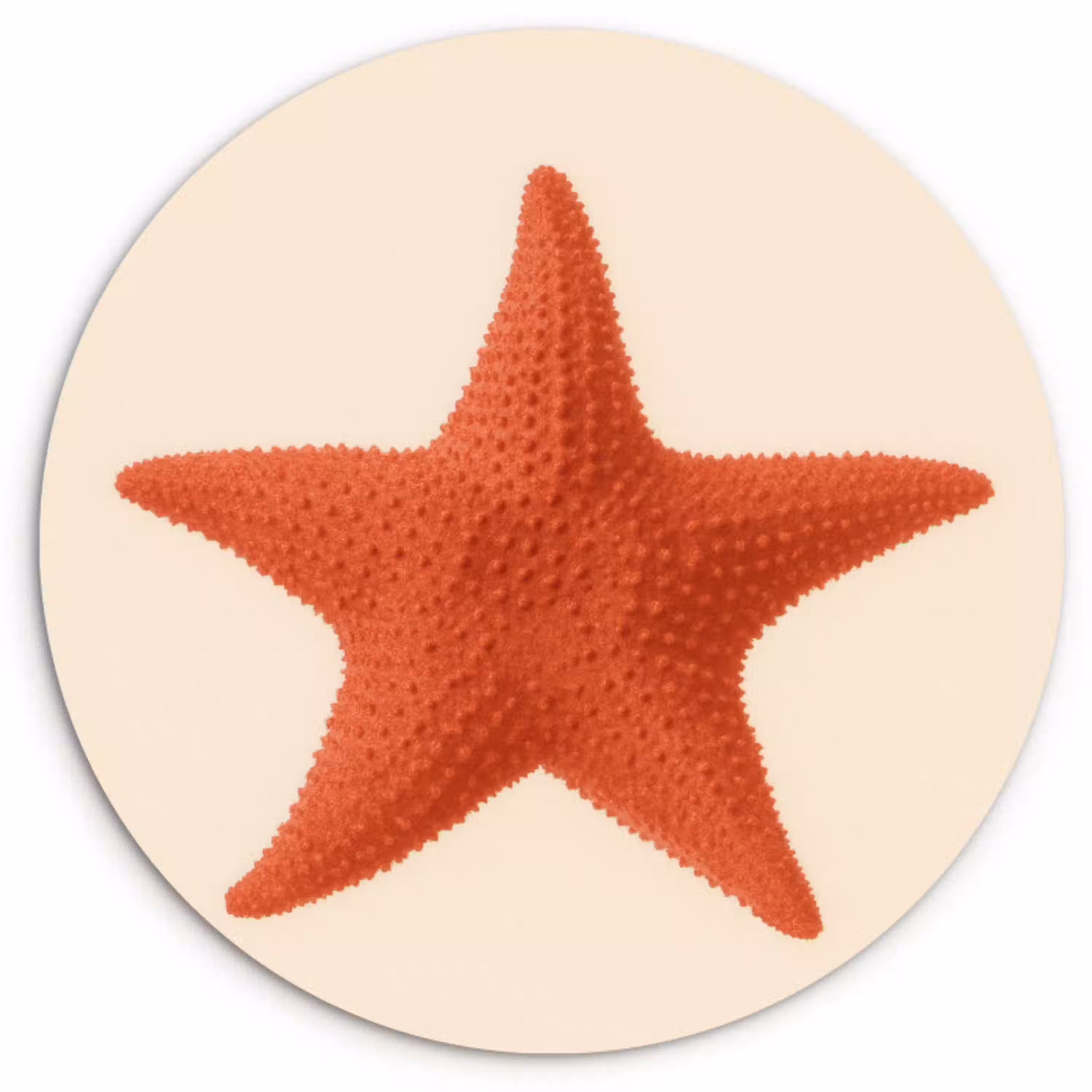 Zeester - Bobbels - Rood Wandcirkel kunststof plaat 5mm dik klein -3d