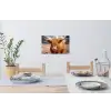 Koe- Schotse hooglander - Hoorns - Bruin - Landschap Muursticker klein -eettafel