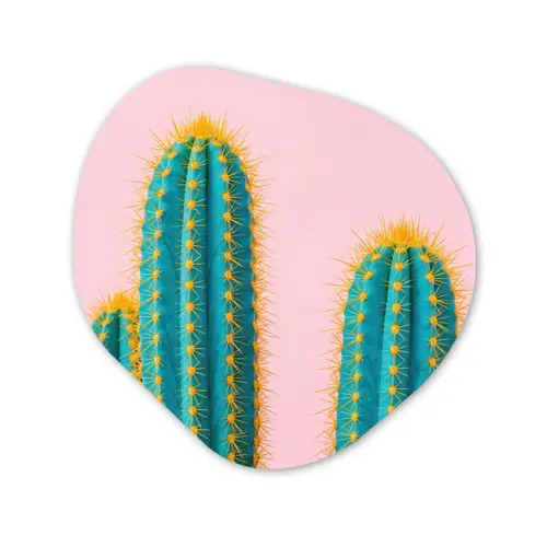 Cactussen - Modern - Pastel Wandcirkel Organisch Forex 3mm klein -3d