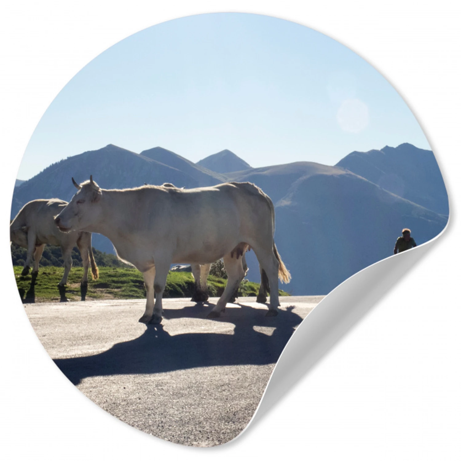 Schotse hooglander - Licht - Berg - Natuur Wandcirkel behangsticker klein -3d