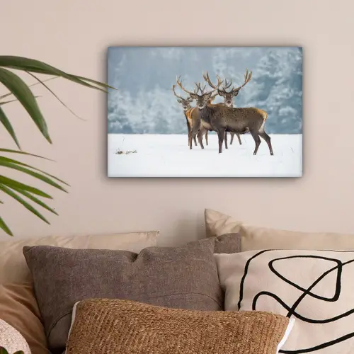 Hert - Dieren - Sneeuw - Winter - Landschap - Natuur canvas 2cm klein -sfeer1