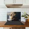 De storm op het meer van Galilea - Rembrandt van Rijn keuken achterwand spatscherm klein -sfeer2