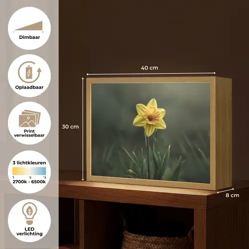 Bloem - Narcis - Gras - Geel Light Box met batterij (Wandlamp) middel -USP_websiteoverzichtNL
