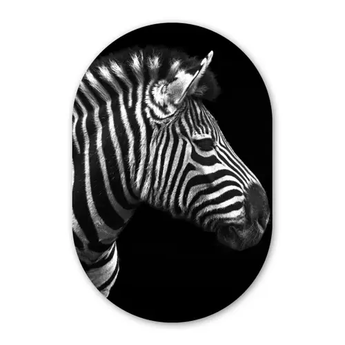 Zebra - Zwart - Wit - Portret - Dieren Wandcirkel Ovaal Forex klein -3d