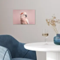 Kaketoe - Portret - Roze poster papier klein -sfeer3