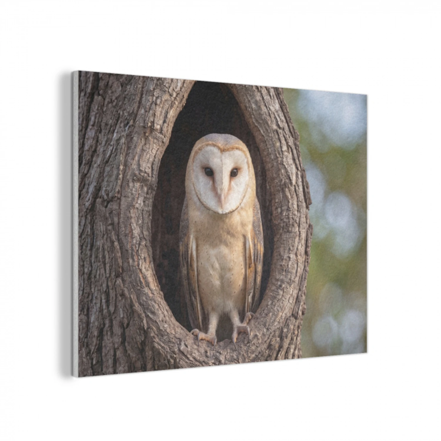 Kerkuil - Boom - Natuur - Bruin PET vilt klein -3d