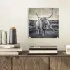 Schotse hooglander - Dieren - Wolken - Koe - Natuur plexiglas 5mm klein -sfeer1