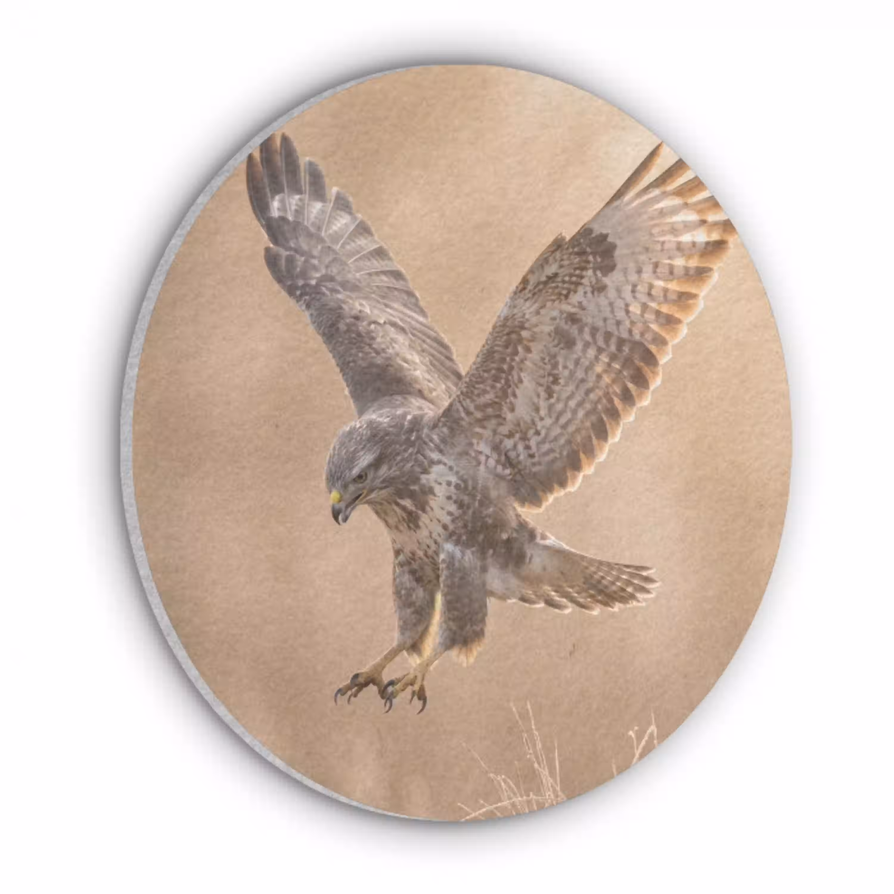 Buizerd - Roofvogel - Natuur - Bruin Akoestische PET Vilt - Rond klein -3d