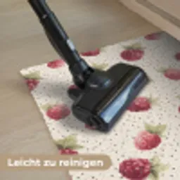 Framboos - Stippen - Rood Deurmat klein 898 -reinigen_DE