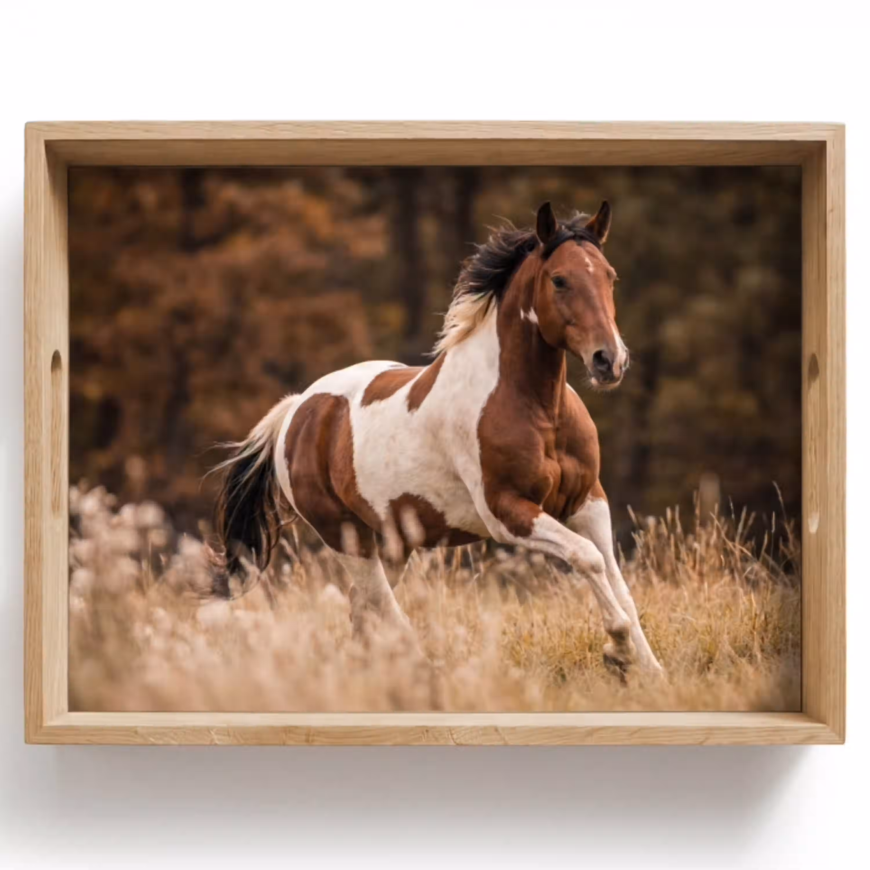 Paard - Bruin - Gras Dienblad Rechthoek middel -z3d_shopping