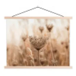 Schermbloem - Droogbloem - Winter - Beige - Minimalistisch textielposter latten blank klein -3d