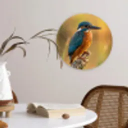 IJsvogel - Tak - Water - Kleurrijk - Levendig Wandcirkel kunststof plaat 5mm dik klein -sfeer4