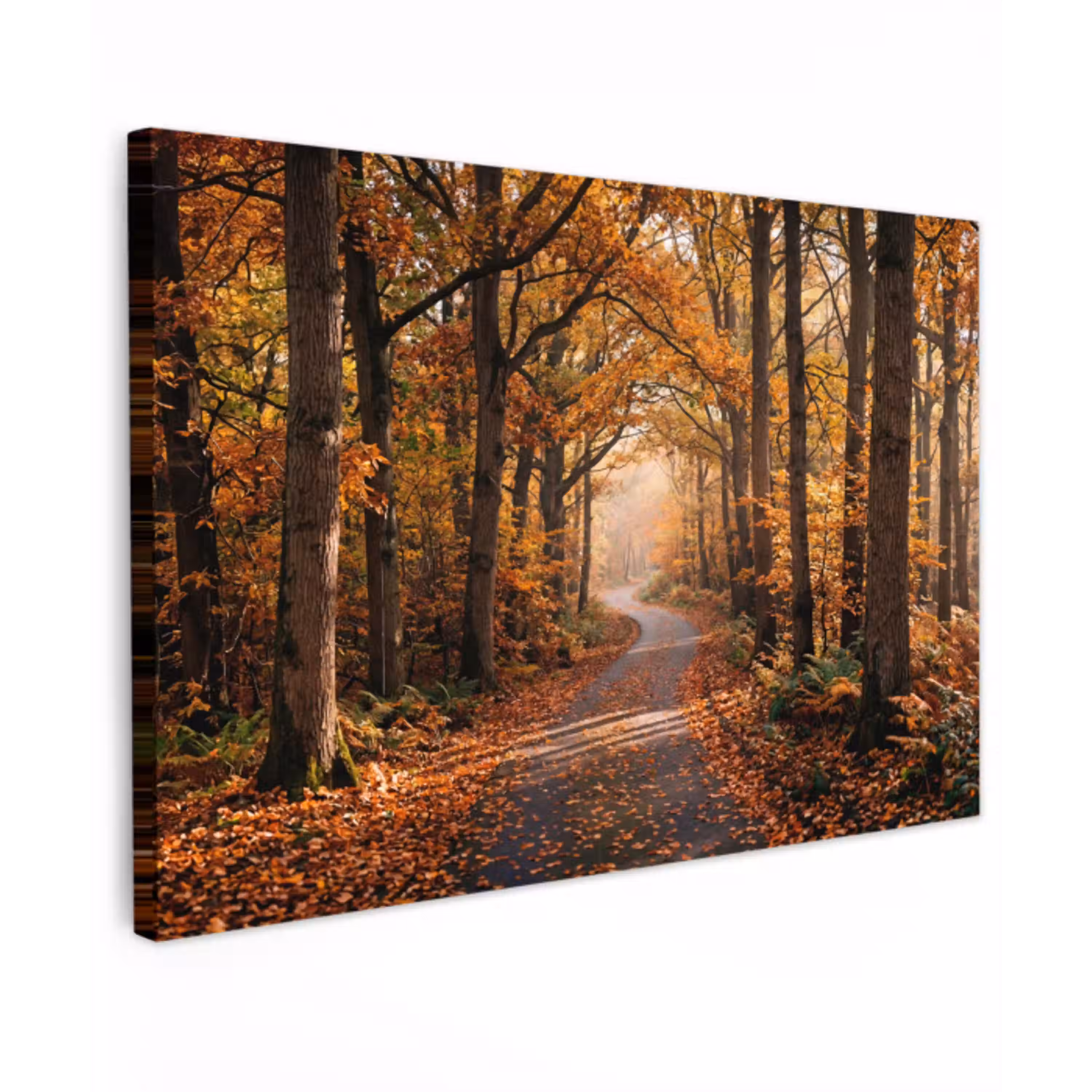 Bospad - Herfstbos - Bladeren - Oranje - Nostalgisch Tuinposter op houten frame 2 cm dik klein -3d