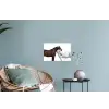 Paard - Modern - Balans Muursticker klein -plant