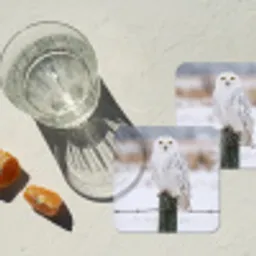 Sneeuwuil - Hek - Sneeuw - Wit onderzetter kurk middel -sfeer4