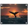 Walvis staart - Water - Zonsondergang tuinposter los doek klein -3d