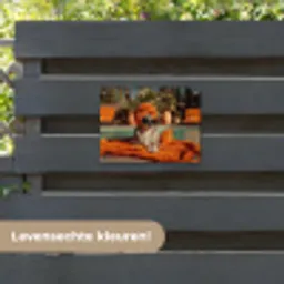 Chihuahua - Handdoek - Zonnebril - Oranje tuinposter los doek klein -sfeer3