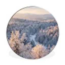 Bos - Bergen - Goud - Winter - Warm Wandcirkel aluminium klein -3d